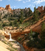 06 - Bryce Canyon NP (24)